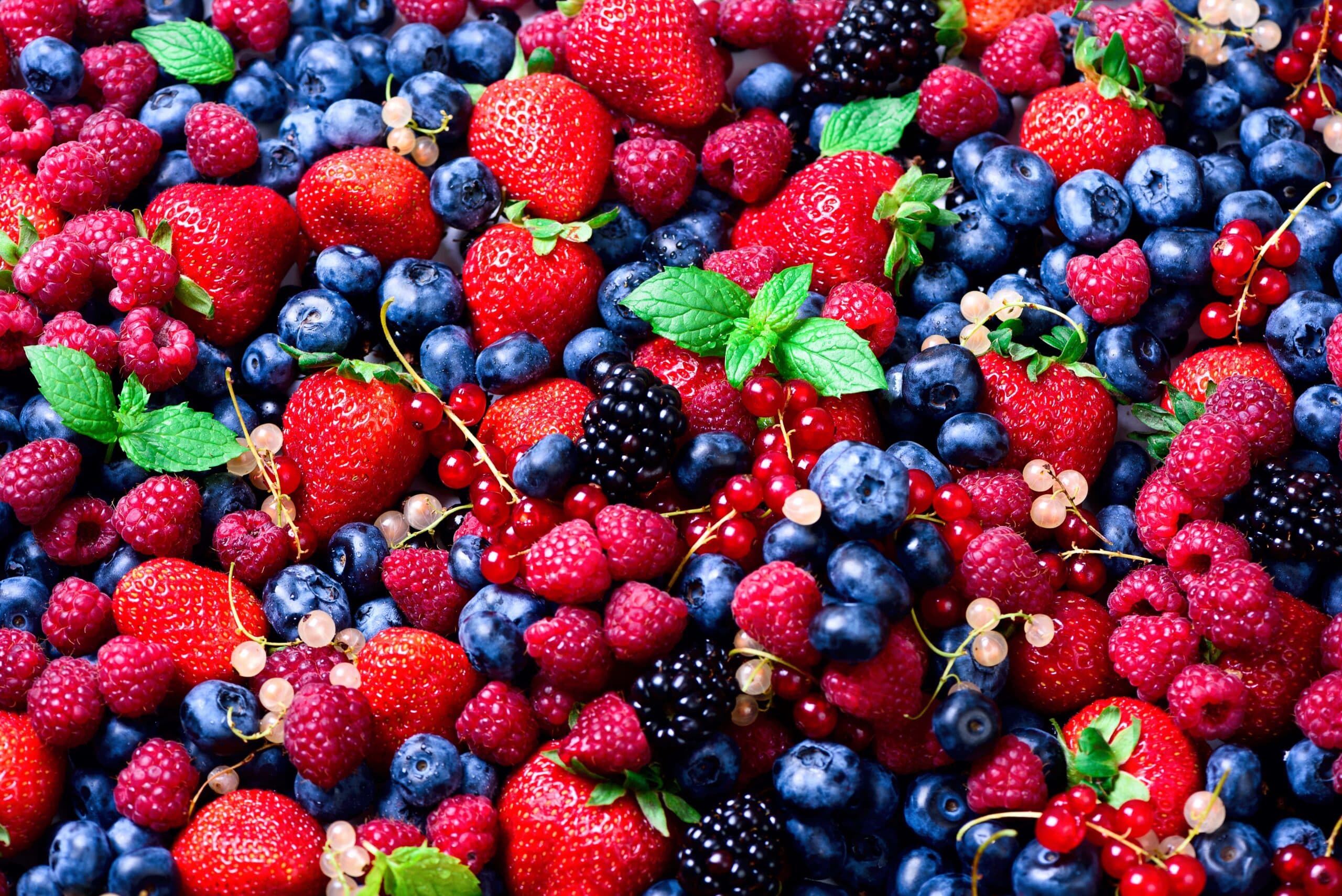 Frutos e Vegetais Congelados de qualidade